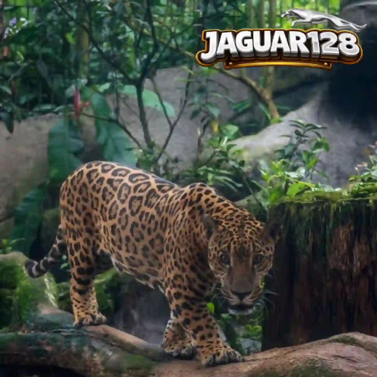 Promo Image
